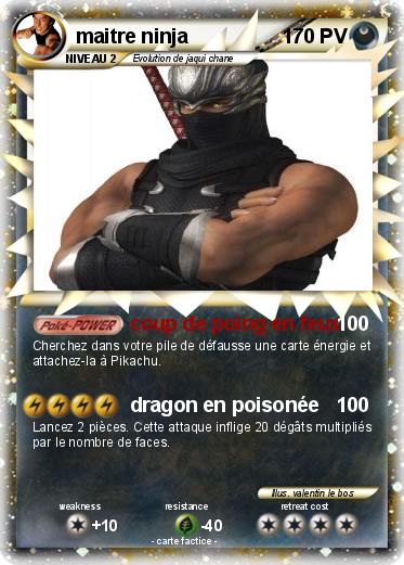 Pokemon maitre ninja