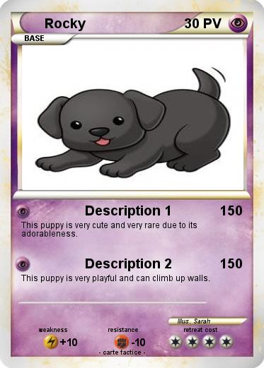Pokemon Rocky