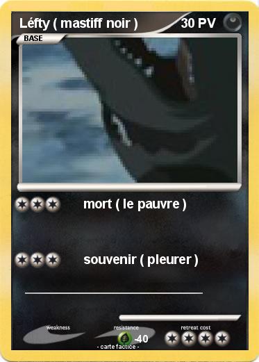 Pokemon Léfty ( mastiff noir )