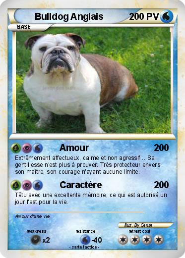 Pokemon Bulldog Anglais