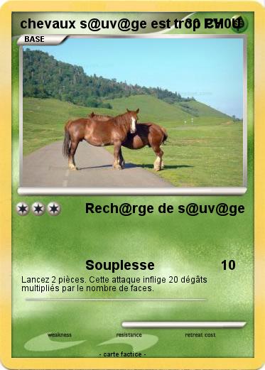 Pokemon chevaux s@uv@ge est trop CH0U