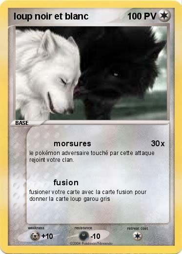 Pokemon loup noir et blanc