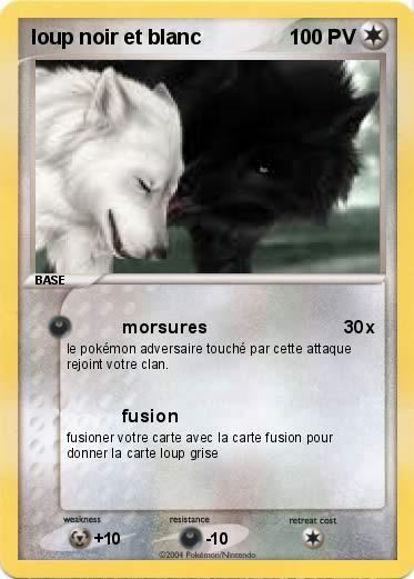 Pokemon loup noir et blanc