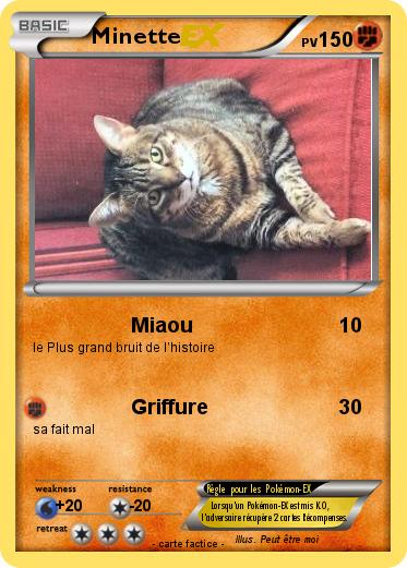 Pokemon Minette