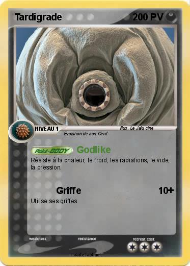 Pokemon Tardigrade