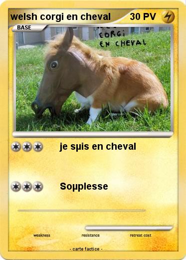 Pokemon welsh corgi en cheval