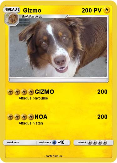 Pokemon Gizmo