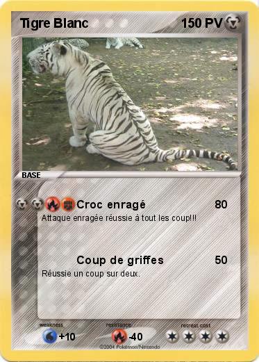 Pokemon Tigre Blanc