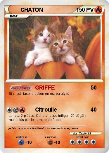 Pokemon CHATON