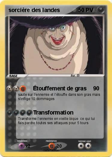 Pokemon sorcière des landes