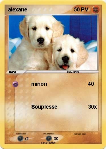 Pokemon alexane