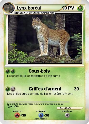 Pokemon Lynx boréal