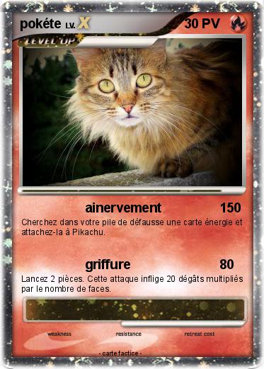 Pokemon pokéte