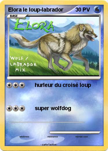 Pokemon Elora le loup-labrador