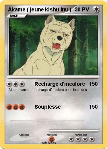 Pokemon Akame ( jeune kishu inu )