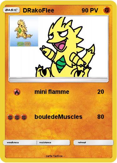 Pokemon DRakoFlee