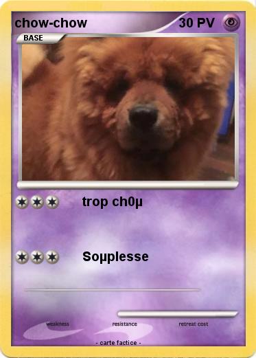 Pokemon chow-chow