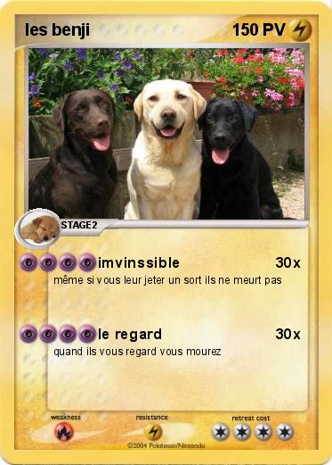 Pokemon les benji