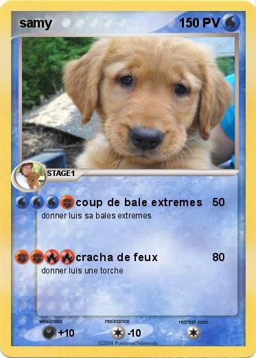 Pokemon samy