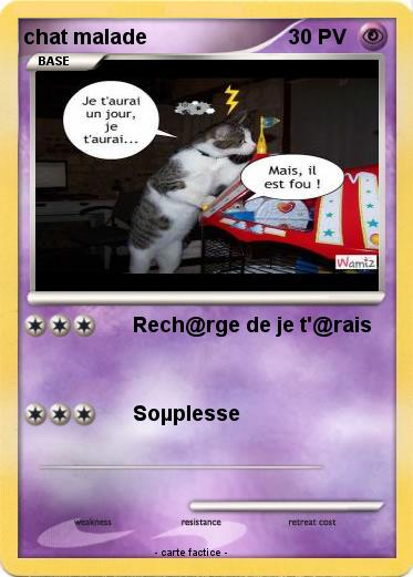 Pokemon chat malade