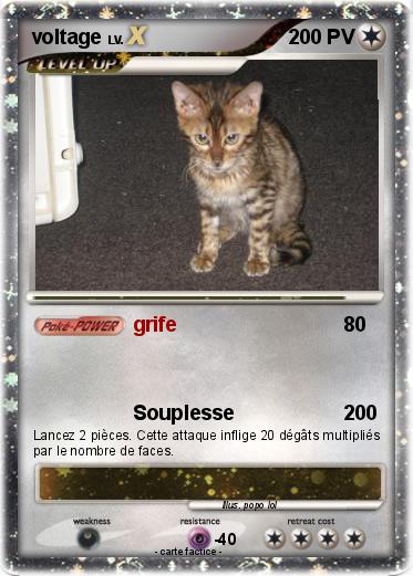 Pokemon voltage