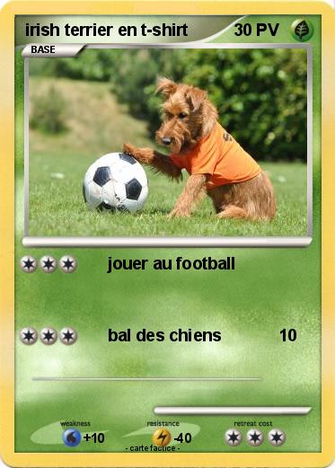 Pokemon irish terrier en t-shirt