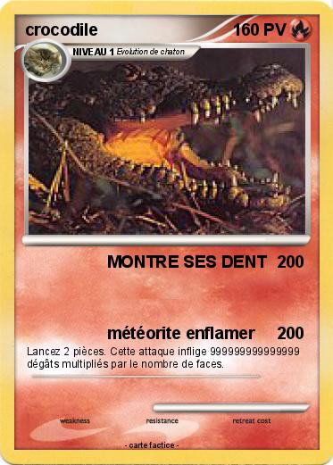 Pokemon crocodile