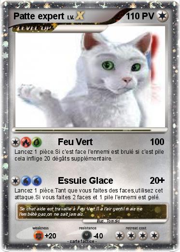 Pokemon Patte expert