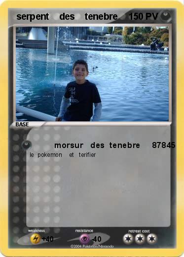 Pokemon  serpent    des    tenebre