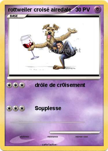 Pokemon rottweiler croisé airedale