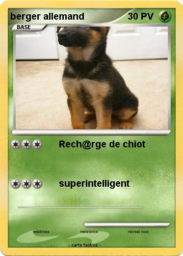 Pokemon berger allemand