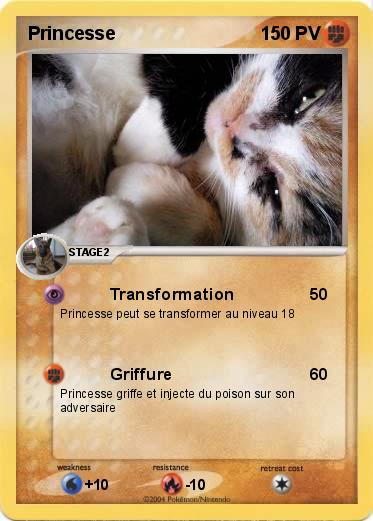 Pokemon Princesse