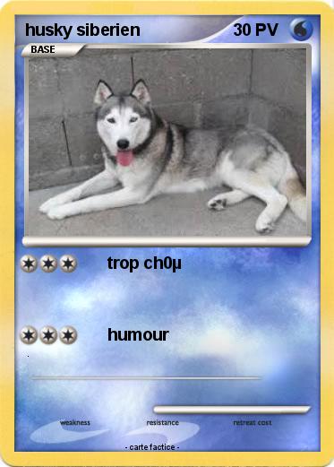 Pokemon husky siberien
