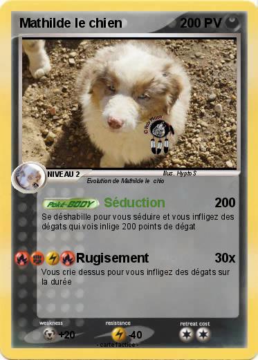 Pokemon Mathilde le chien