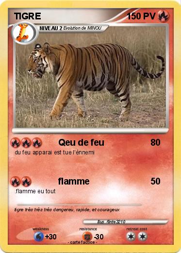 Pokemon TIGRE