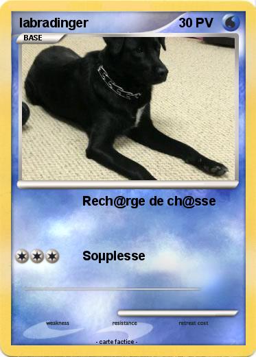 Pokemon labradinger