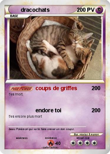 Pokemon dracochats