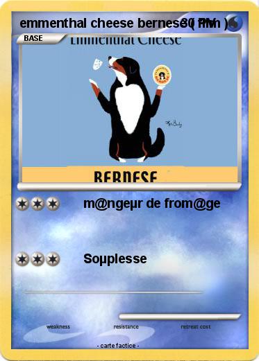 Pokemon emmenthal cheese bernese ( film )