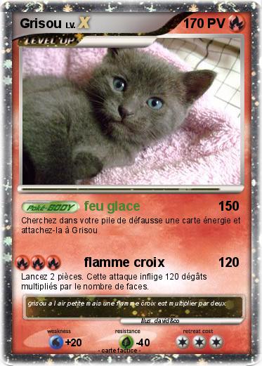 Pokemon Grisou