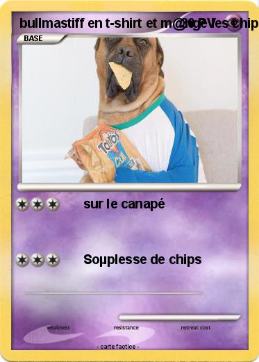 Pokemon bullmastiff en t-shirt et m@nge les chips