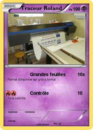 Pokemon Traceur Roland