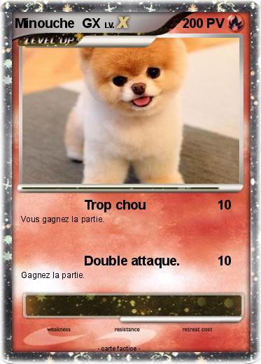 Pokemon Minouche  GX