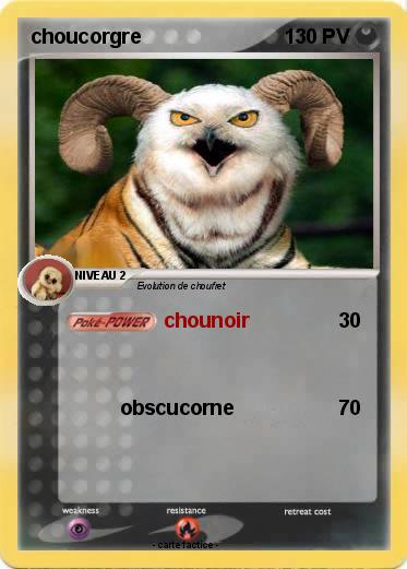 Pokemon choucorgre