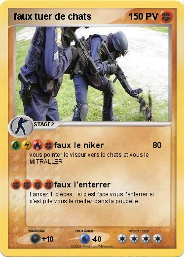 Pokemon faux tuer de chats