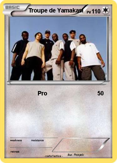 Pokemon Troupe de Yamakasi