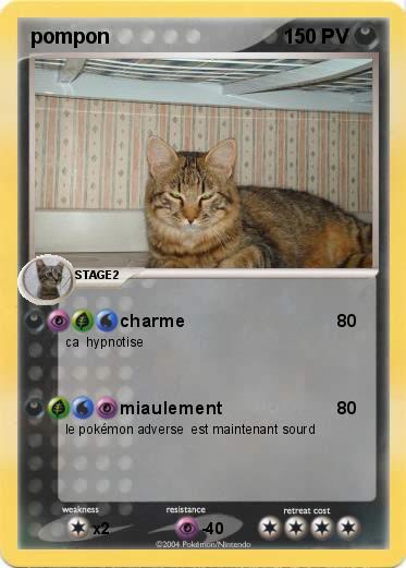 Pokemon pompon