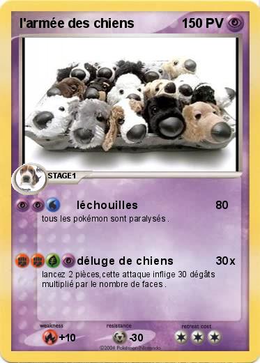 Pokemon l'armée des chiens