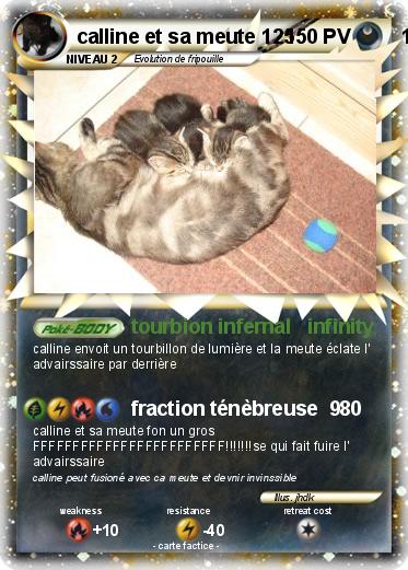 Pokemon calline et sa meute 125                   125