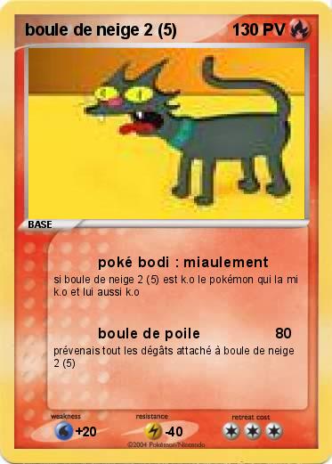 Pokemon boule de neige 2 (5)