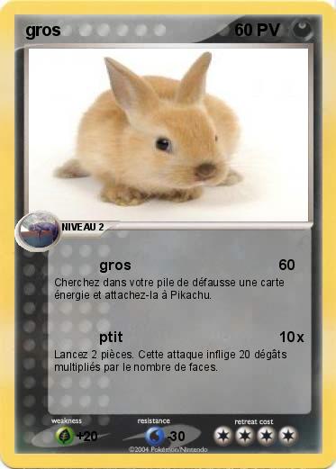 Pokemon gros
